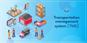 Exploring the Best Software Solutions for Fleet, Courier, and Logistics Management in India